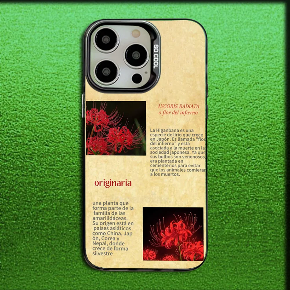 แมงมุมสีแดง Lily ดอกไม้ของนรกเคสโทรศัพท์สําหรับ iPhone 16,15,14,13,12,11,Mini,Pro,MAX สีเทาซิลิโคนปกสีดํา