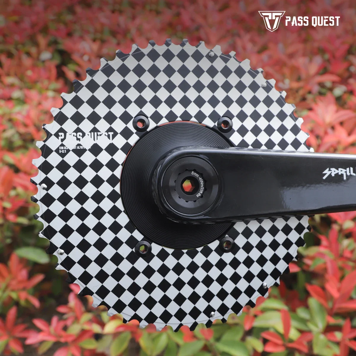 

PASS QUEST 2X Checkerboard appearance Road bike Gravel bike 12-11s