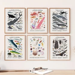 Abstract Marine Organisms Jellyfish Whale Squid Fishes Posters Canvas Painting and Prints Wall Art Picture for Room Home Decor