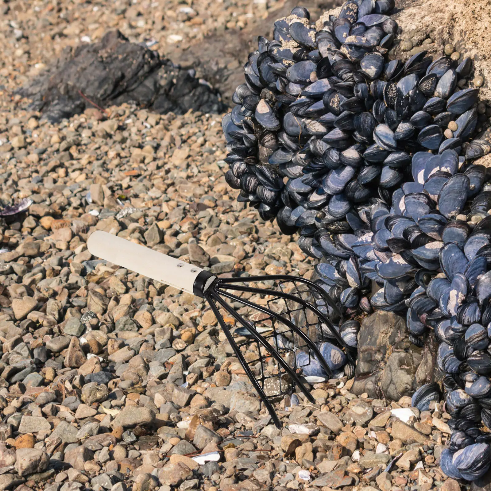 Carbon Steel Clam Digging Tool Metal Claw Rake Wooden Handle Mesh Screen 10.2x4.9x1.9in Beach Shellfish Seafood Digging Clamming