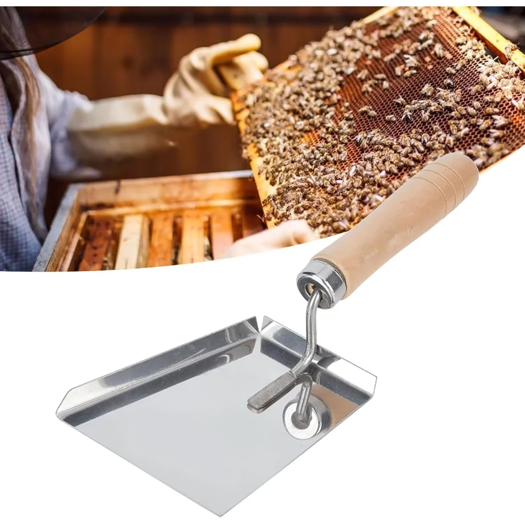1Pc Beekeeping Stainless Steel Pollen Shovel Clean Honey Extractor Flat Hive Clean Scraper Equipment Beekeeper Professional Tool