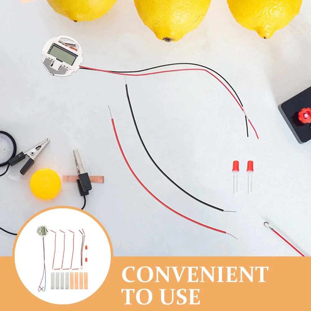 3Sets Fruit Science Kit Creatieve DIY School Experiment Kit Maken Set voor studenten Wetenschapsspeelgoed