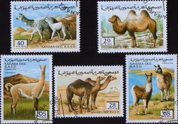 5 sztuk / zestaw znaczków pocztowych Western Sahara 1996 Camel Alpaca Oznaczone znaczki pocztowe do kolekcjonowania