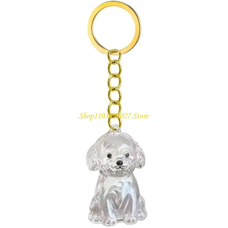 C4DF Clear Pet Memorial Keychain Pet Hair Bottle For Preserving Dog Hair Box