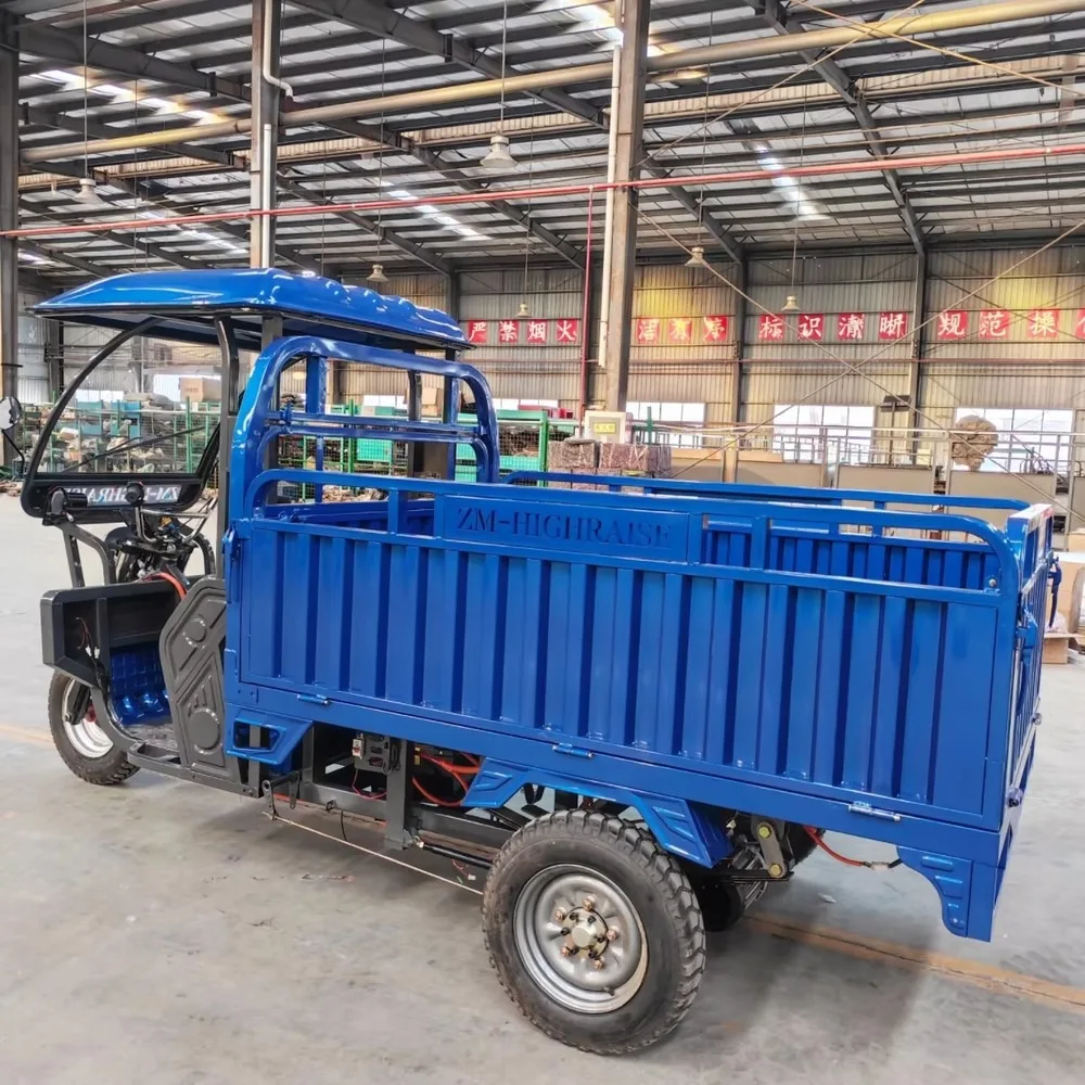 Electric Cargo Tuktuk Adult Open Body Three-Wheel Passenger Tricycle, Eco-Friendly City Commuter Vehicle