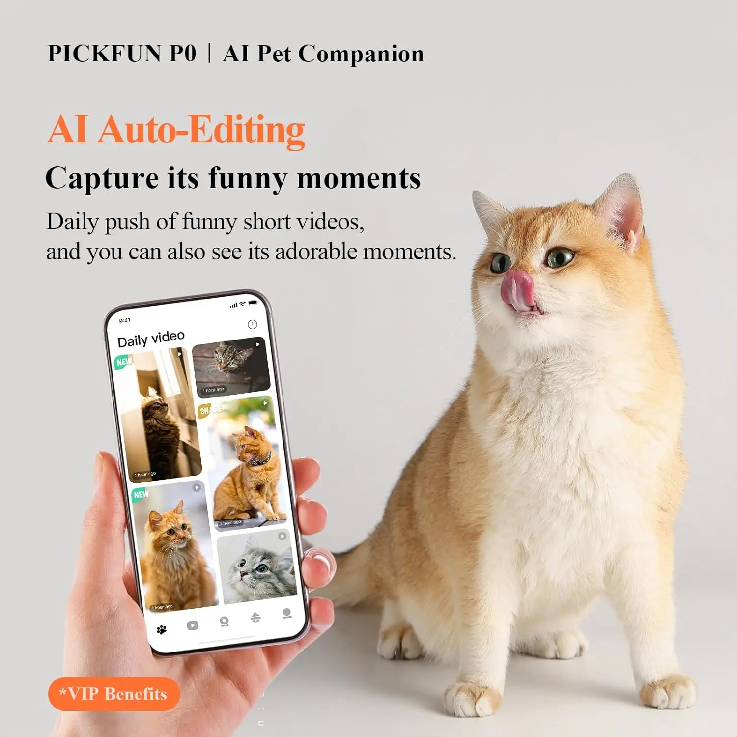 Kamera Pemantauan AI Hewan Peliharaan Pickfun |   Pemantauan WiFi, tampilan jarak jauh, obrolan suara, deteksi perilaku hewan peliharaan, keamanan rumah pintar