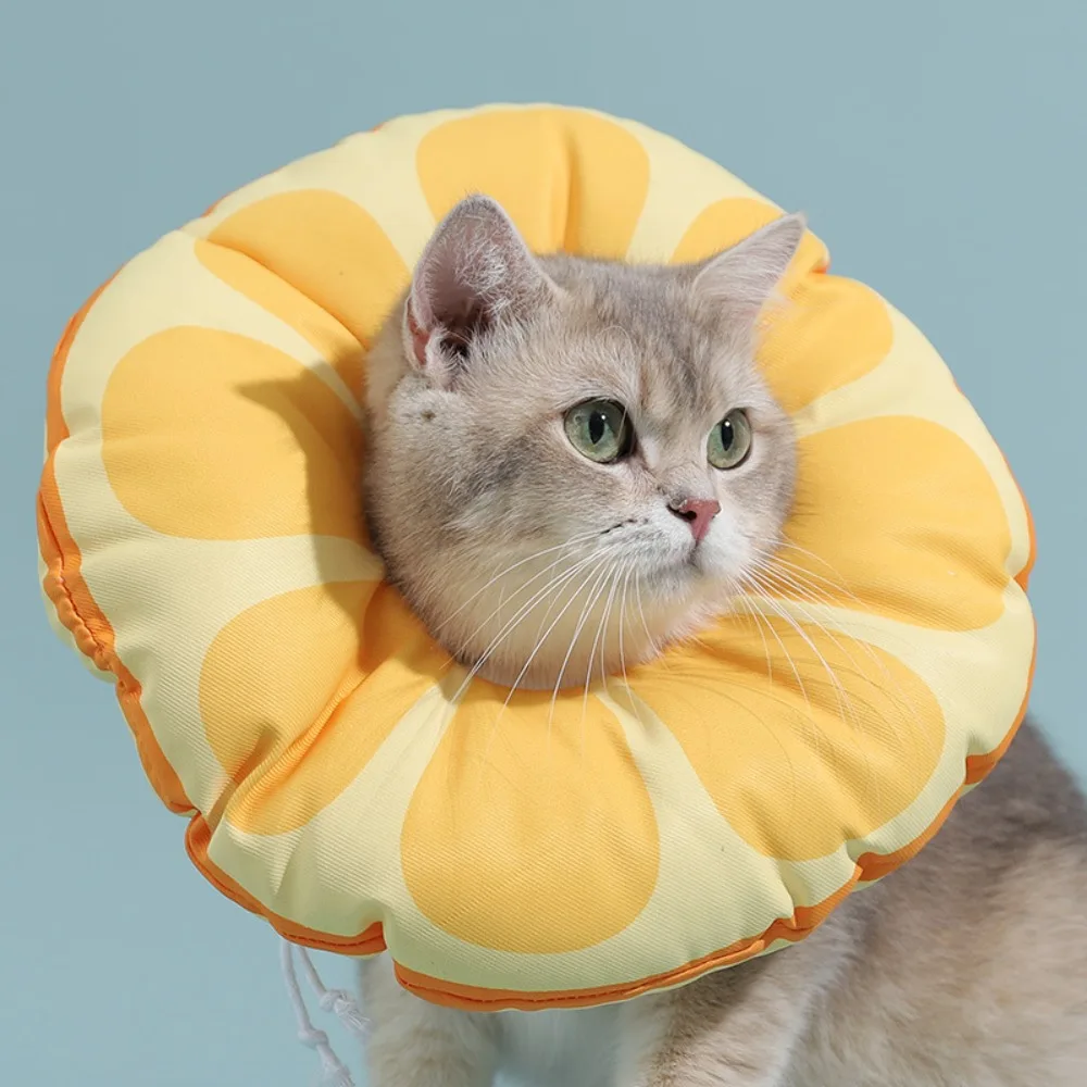 

Waterproof Pet Protective Collar Dog Neck Recovery Cone Collar Adjustable Cat Recovery Collar Cute Neck Cone After Surgery