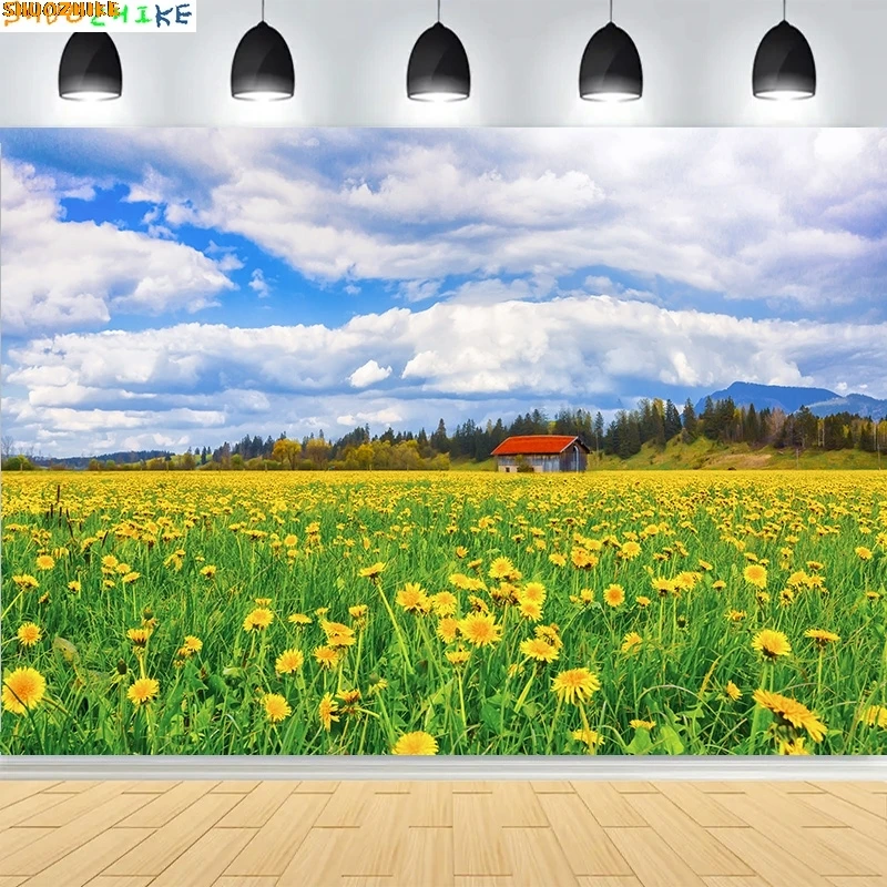 

Green Wheat Field Blue Sky Photography Backdrops Prop Pastoral Scenery Landscape Forest Blooming Rapeseed Photo Background BU-03