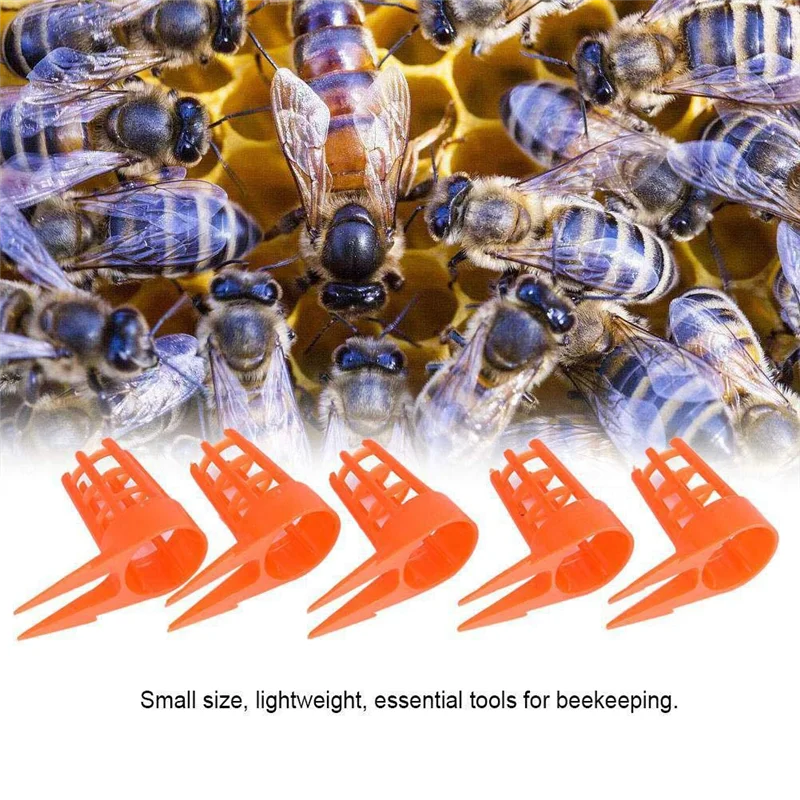 

ABLA-Bee Queen Cap Honey Bee Comb Push-In Queen Cell Protectors Beekeeping Queen-Bee Rearing Cage For Beekeeping Supplies