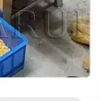 

Машина для очистки свежей кукурузы из нержавеющей стали