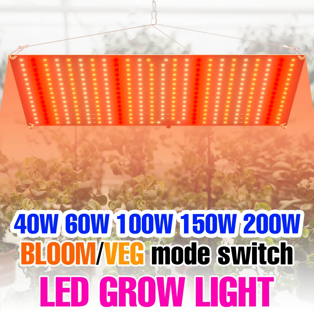 

200W LED Quantum Plate Plant Fill Lamp 220V Full Spectrum Grow Lights Indoor Flower Succulents Potted Fruit Cultivation Lighting