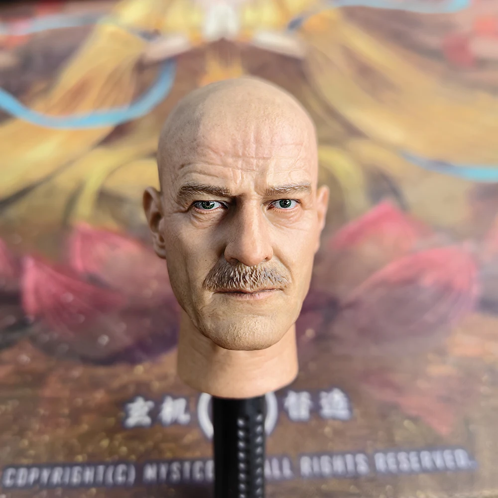 1/6 Bryan Cranston Chemistry Teacher Head Sculpt Model Fit for 12'' COOMODEL Worldbox Action Figure