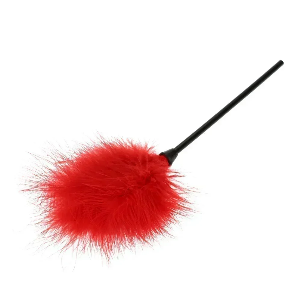 ของเล่น Feather Wand Teaser ตุรกี Feather Interactive Toy Wire Chaser Wand ของเล่นสีสุ่ม