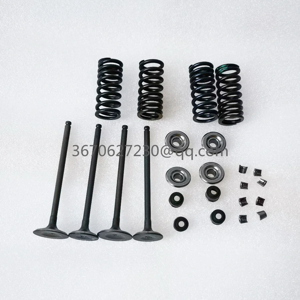 valves and spring kit for Daytona 190 or 212 4 valves engines