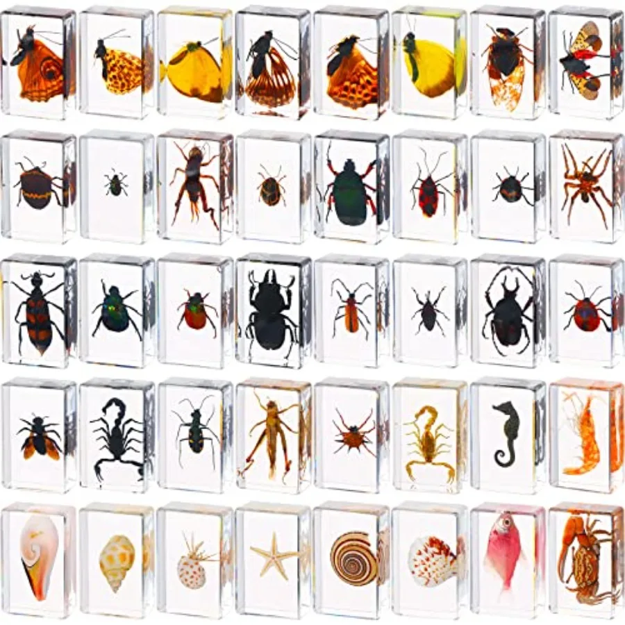 

40 шт. Набор насекомых в смоле: коллекция настоящих насекомых в смоле, различные виды насекомых в смоле для научного образования и декора (пресс-папье)
