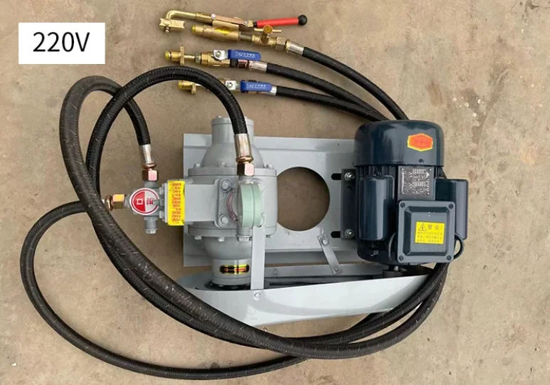 12V 220V 48V LPG Transfer Pump Portable Car Mounted High Pressure Gas Transfer Pump Garden Wind Chime Accessory