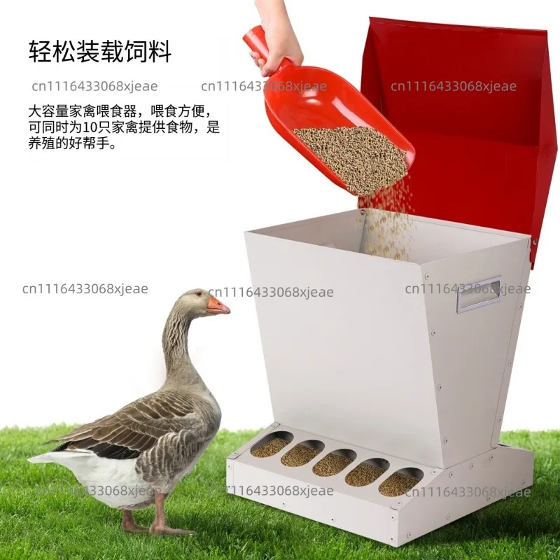 Chicken Feeding Trough Automatic Chicken Feed  Vertical Chicken   Anti-rat Poultry