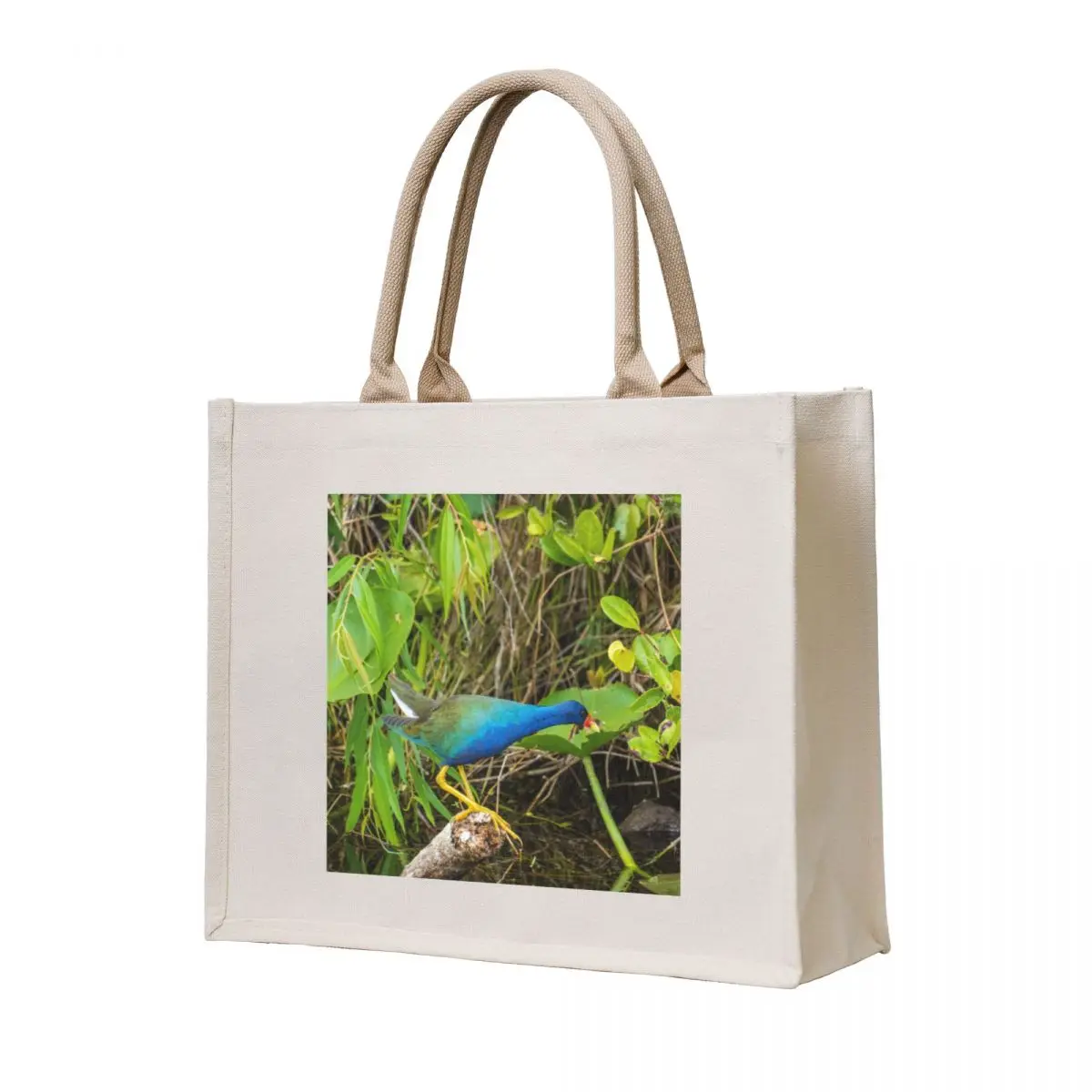 

Colorful Bird Everglades National Park Tote Bag shopper bag women shopper bag woman shopper bags
