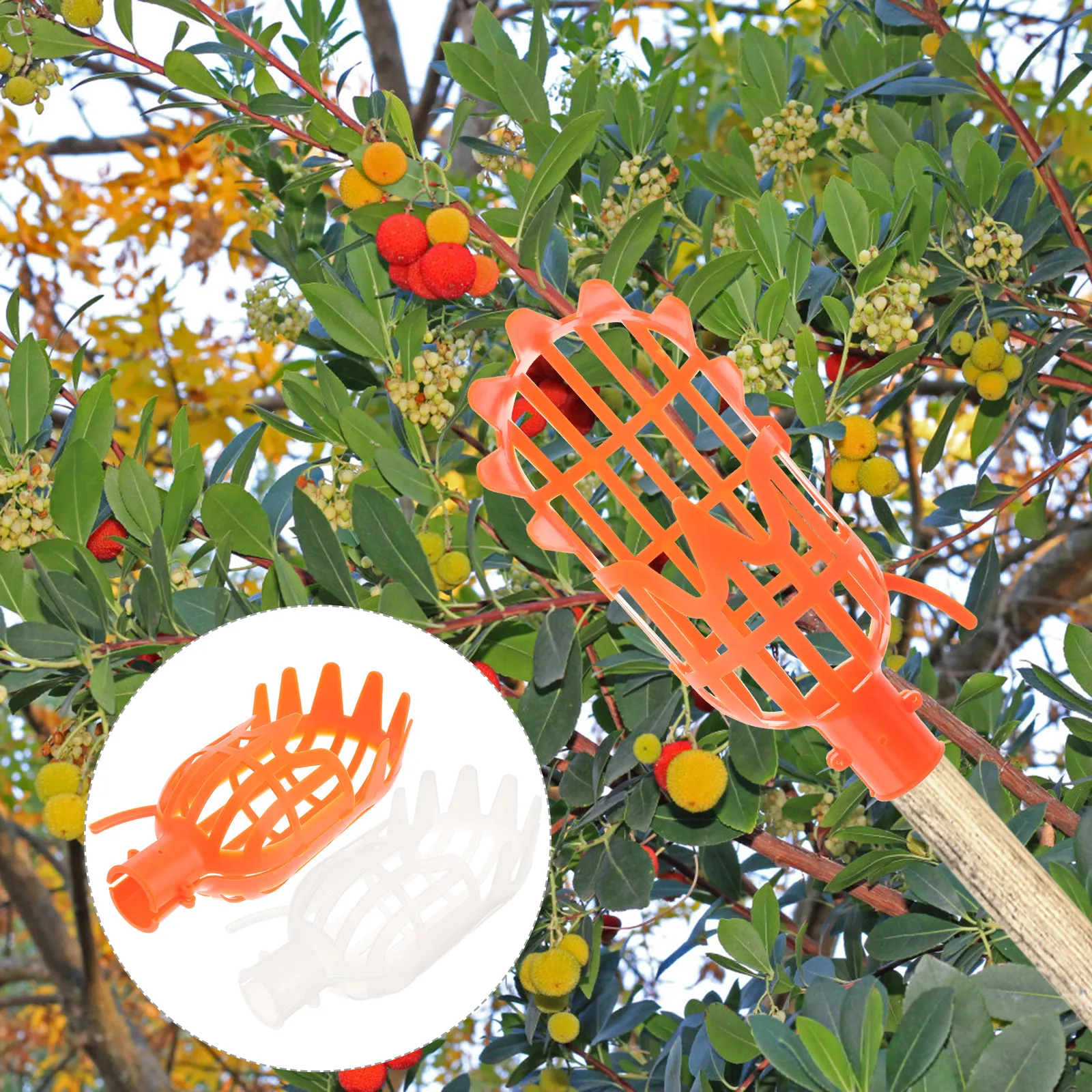 2Pcs Fruit Picker Baskets Strong Bearing Capacity Garden Fruit Catchers Labor-Saving Orchard Tools for Pears Orange Mango