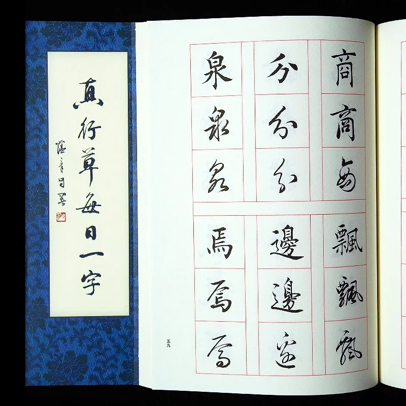Chinese Calligraphy Copybook Adult Student Cursive Script Running Techniques Calligraphy of Brush Copybook Entry