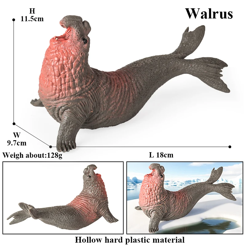 Oenux New Sea Life Seal Sea lion Orcas Blue Whale Shark Megalodon Dolphin Aquarium Ocean Marine Animals Model Kids Toy Gift
