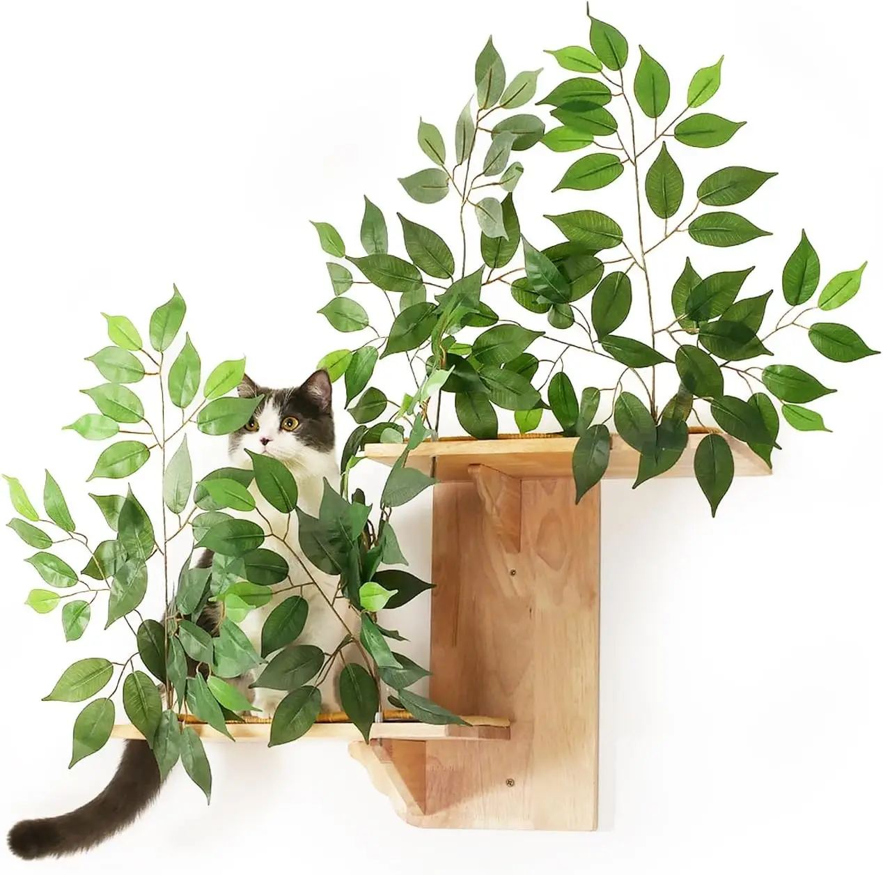 

Cat Wall Shelves with Leaves, 2 Platform Cat Wall Furniture, Cat Tree Shelves, Rubber Wood Wall Perch with Mat, Bridge for