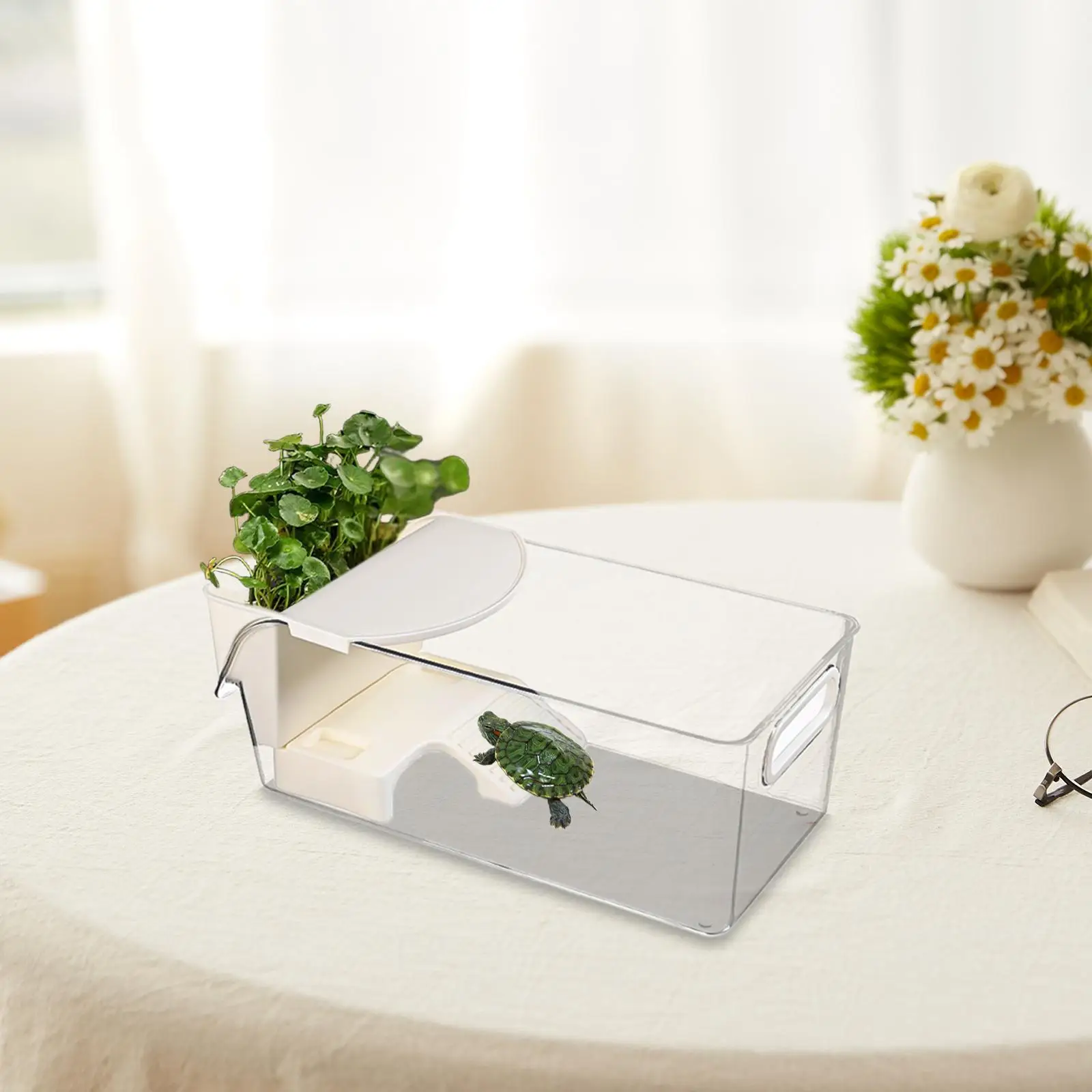 

Аквариум для черепахи, корпус для черепахи, стартовые принадлежности с местом для гетры и коробка для кормления с открытым верхом, террариум для черепахи