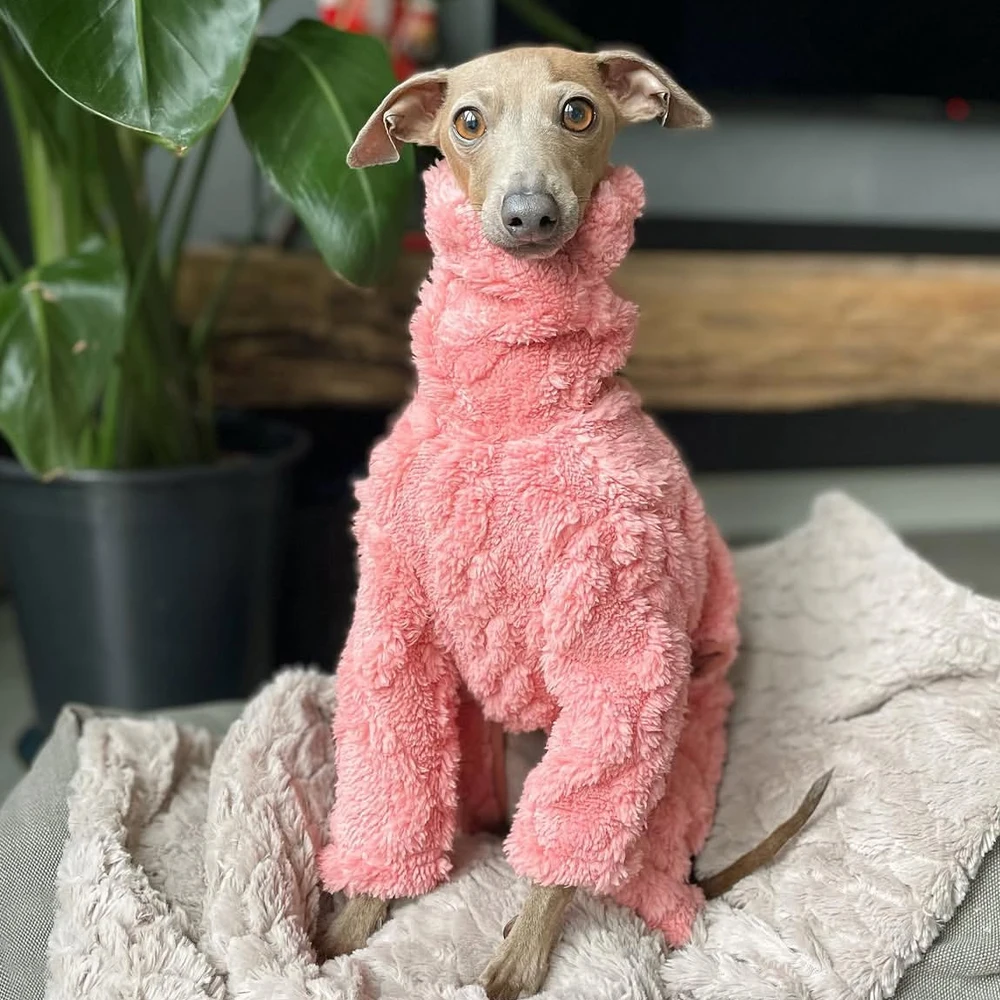Abrigo invierno grueso cuello alto para galgos y whippet – Forro polar - imagen 4
