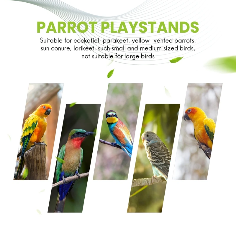 Parrots Playground,Natural Wooden Parrot Perch Gym Play Stand Parakeet Ladders With Feeder Cups And Toys Exercise Play