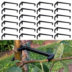 Épandeur de Branches d'arbre de fruits, 5 pièces, pour étaler fortement, Angles d'entrejambe, Branches de bonsaï, épandeur de tronc, outils de modélisation