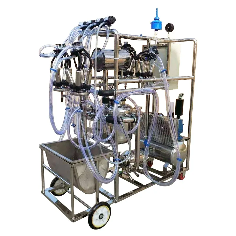 Milking machine room for four-barrel cows with milk receiving group and washing system Dairy farm