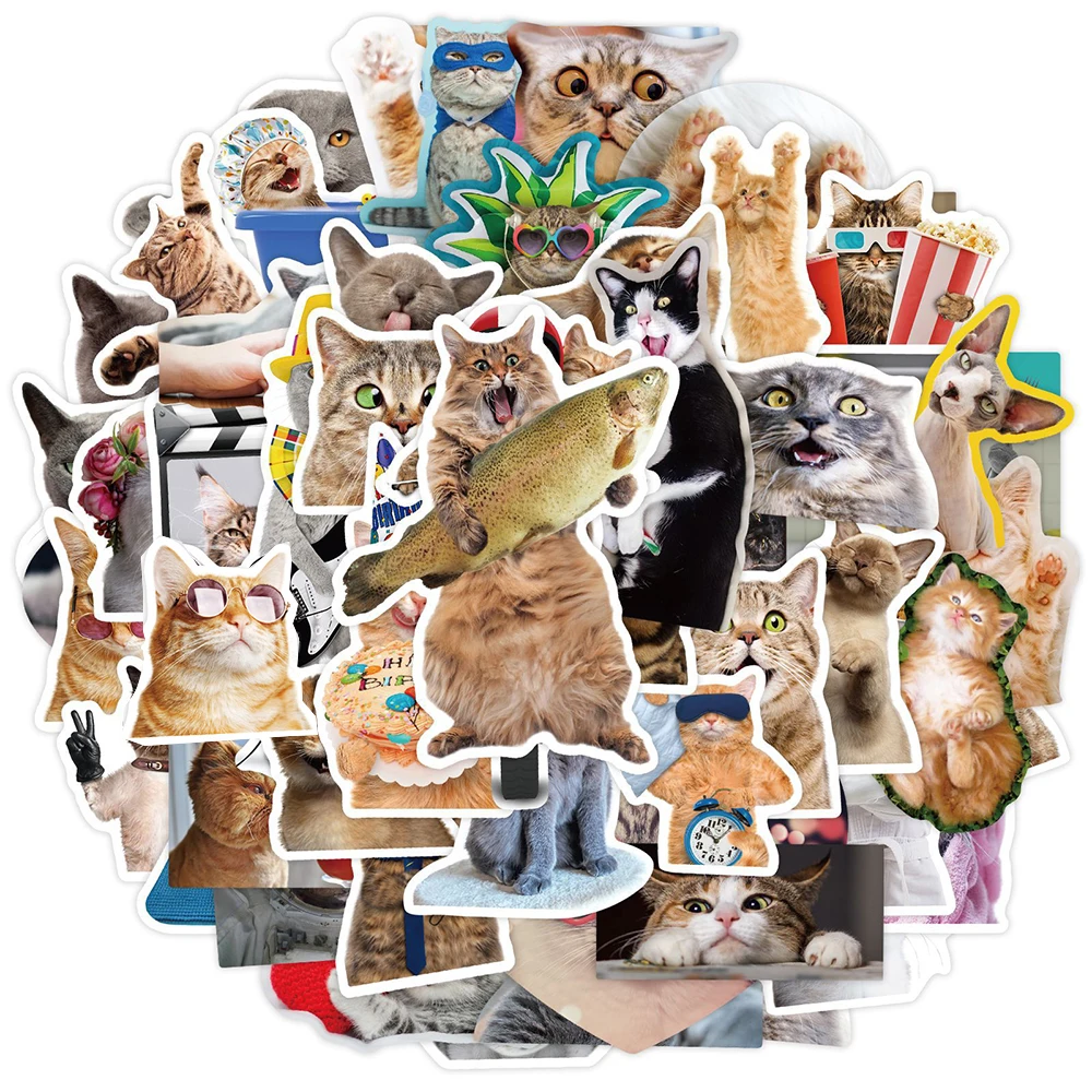 

10/30/65pcs Kawaii Cat Meme Graffiti Stickers Cute Animals Kids Decals Toy DIY Phone Water Bottle Stationery Waterproof Sticker