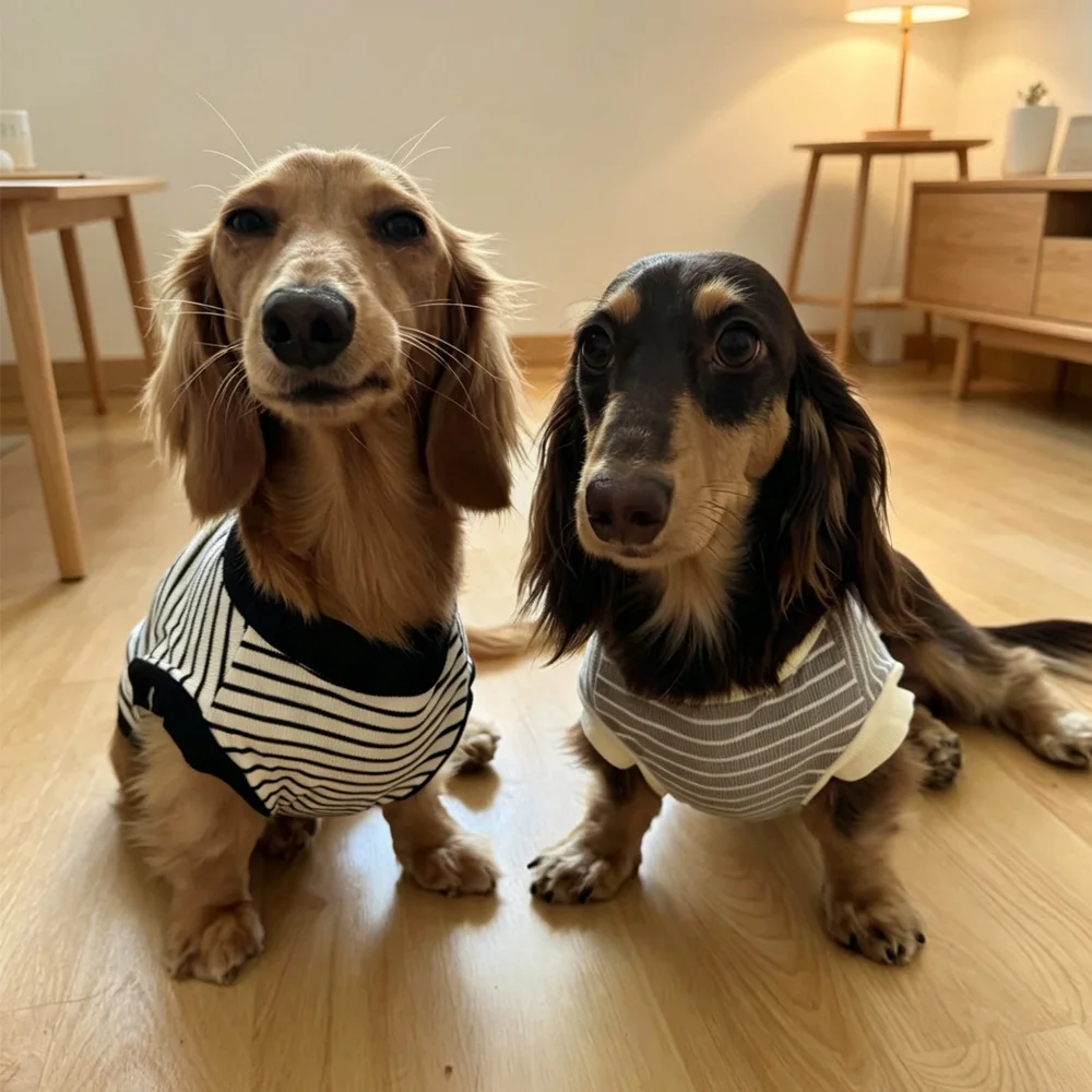 Camiseta a rayas manga corta para perro salchicha – Primavera y verano