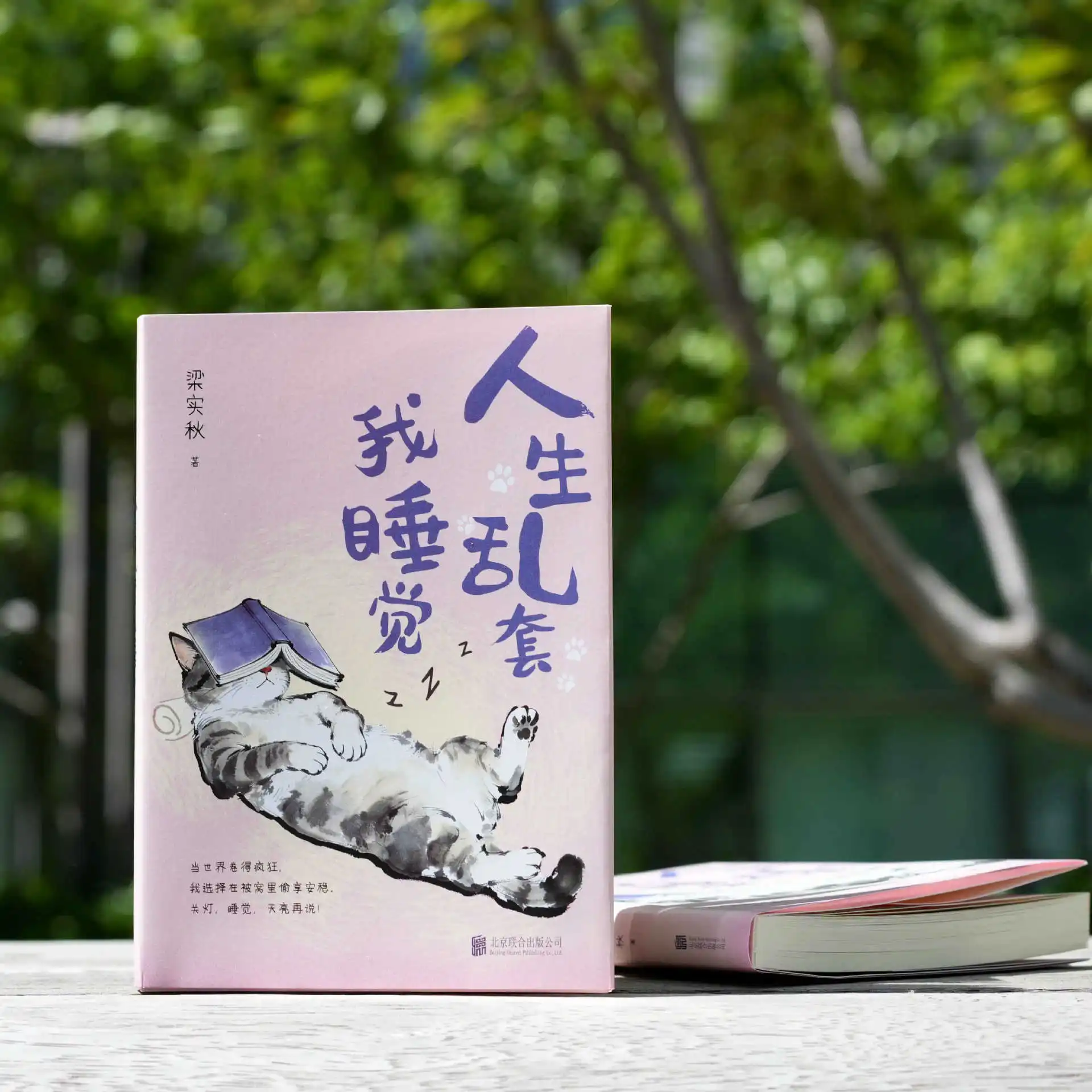 Sleep Away The Mess of Life: Collection of Essays By Liang Shiqiu, Anti-Involution & Stress Relief Read for Modern Youth