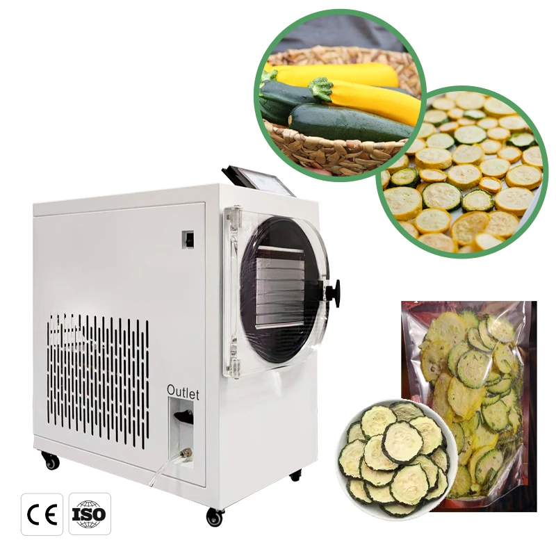 

Latest LCD Display Vertical Small Freeze Dryer Snack Vacuum Freezing, Fruit And Vegetable Meat Drying Equipment
