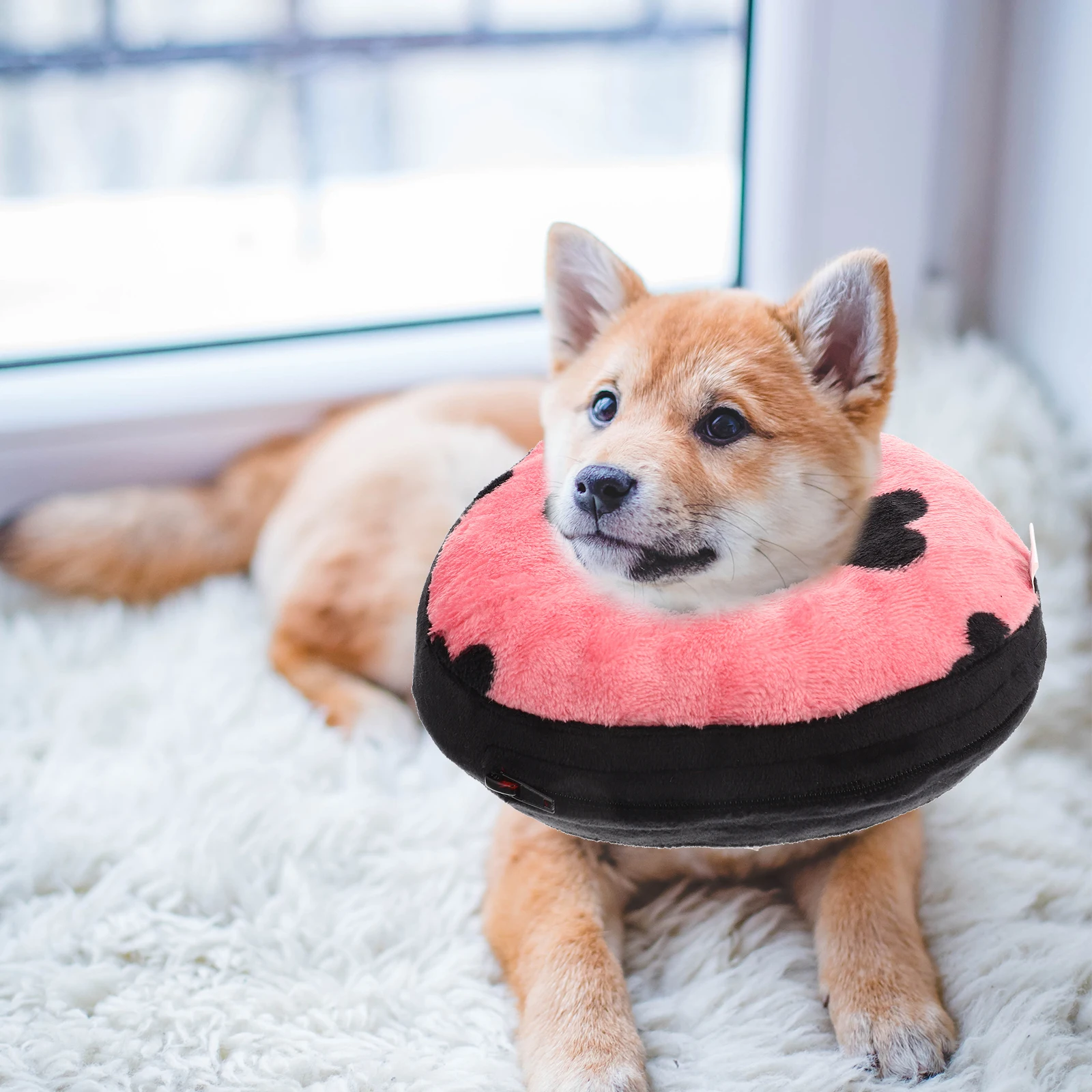 

Inflatable Pet Cone Collar for Cat Dog Lightweight Comfortable Recovery Supplies Portable Neck Protection Accessories