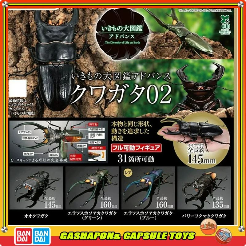 Bandai The Diversity of Life Stag Beetle Realistic Insect Model Gashapon Ball Biology Collection Desk Display Ornament Genuine