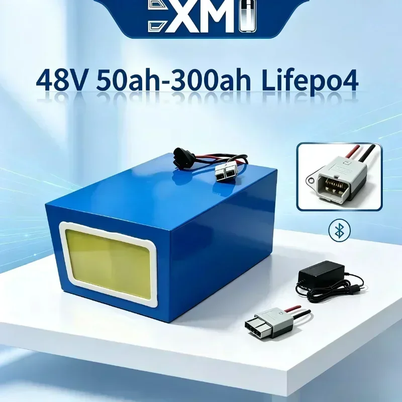 48V Rechargeable LiFePO4 Battery Unit, 30Ah-200Ah, Integrated Smart BMS, A-Grade Lithium Cells for E-Bike, Electric Scooter, Ele