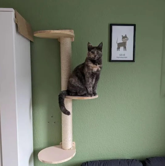 Modern Wall Mounted Wooden Climbing Big Tall Cat Scratching Sisal Post Cat Tree Tower With 3 Egg Pinewood Platforms