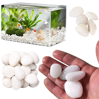 200/400g Small White High Polished Pebble Set 2-3cm Size Landscape Stone Decorative Rock for Garden Courtyard Craft FishTank ZYF