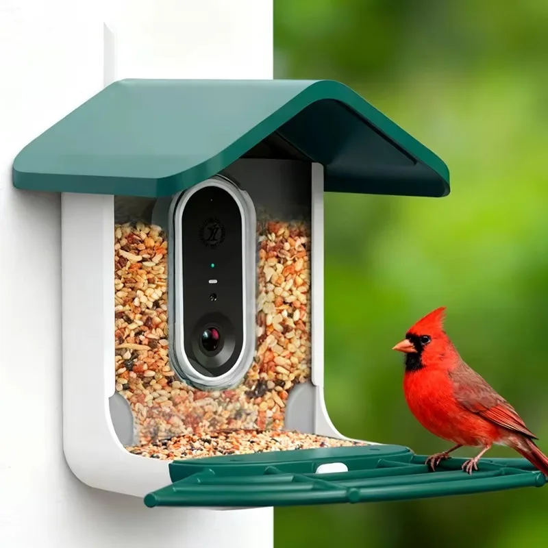 Bird Feeder with Camera-2K HD & Full Color Night Vision Free AI Forever for 11000+ Species Identification  Solar Powered