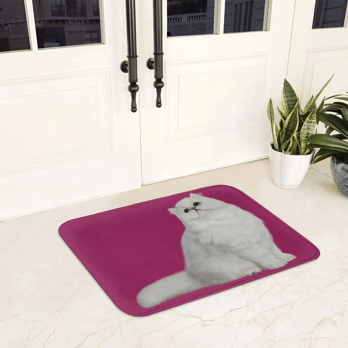 Chinchilla Cat Doormat Anti-skid Super Absorbent Bathroom Floor Mats Home Entrance Rugs Kitchen Bedroom Carpet Hallway Footpad