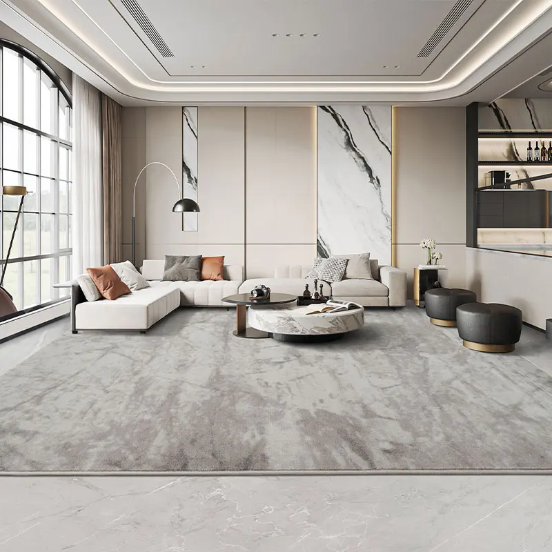 سجاد حديث بسيط لغرفة المعيشة رمادي فاخر لديكور غرفة النوم سجادة منفوشة ناعمة من القطيفة سجادة دراسة منزلية قابلة للغسل #2