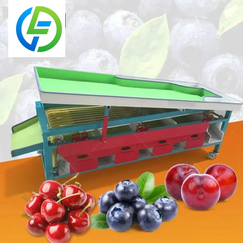 Customized Vegetable Size Sort Machine Date Conveyor Belt Sorter Mango Apple Clean and Grade Machine
