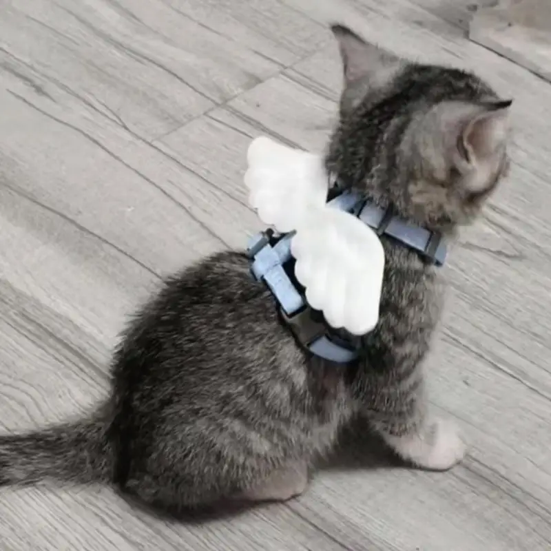 

Cat leash out to break free cute wings adjustment pet small special chain dog harness rope
