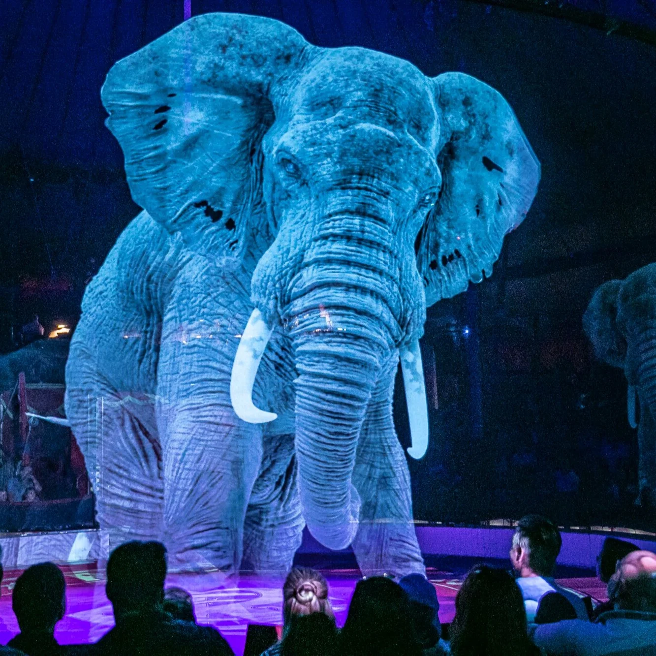 شاشات عرض ثلاثية الأبعاد ثلاثية الأبعاد للعروض، حتى 10 × 30 متر بدون خياطة