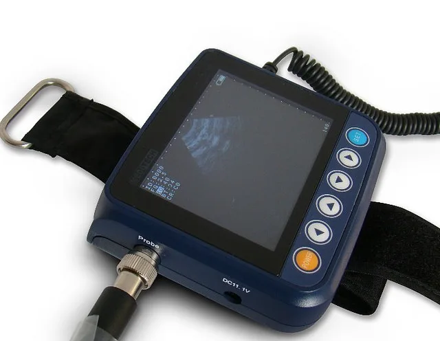 ce approved wrist veterinary ultrasound scanner