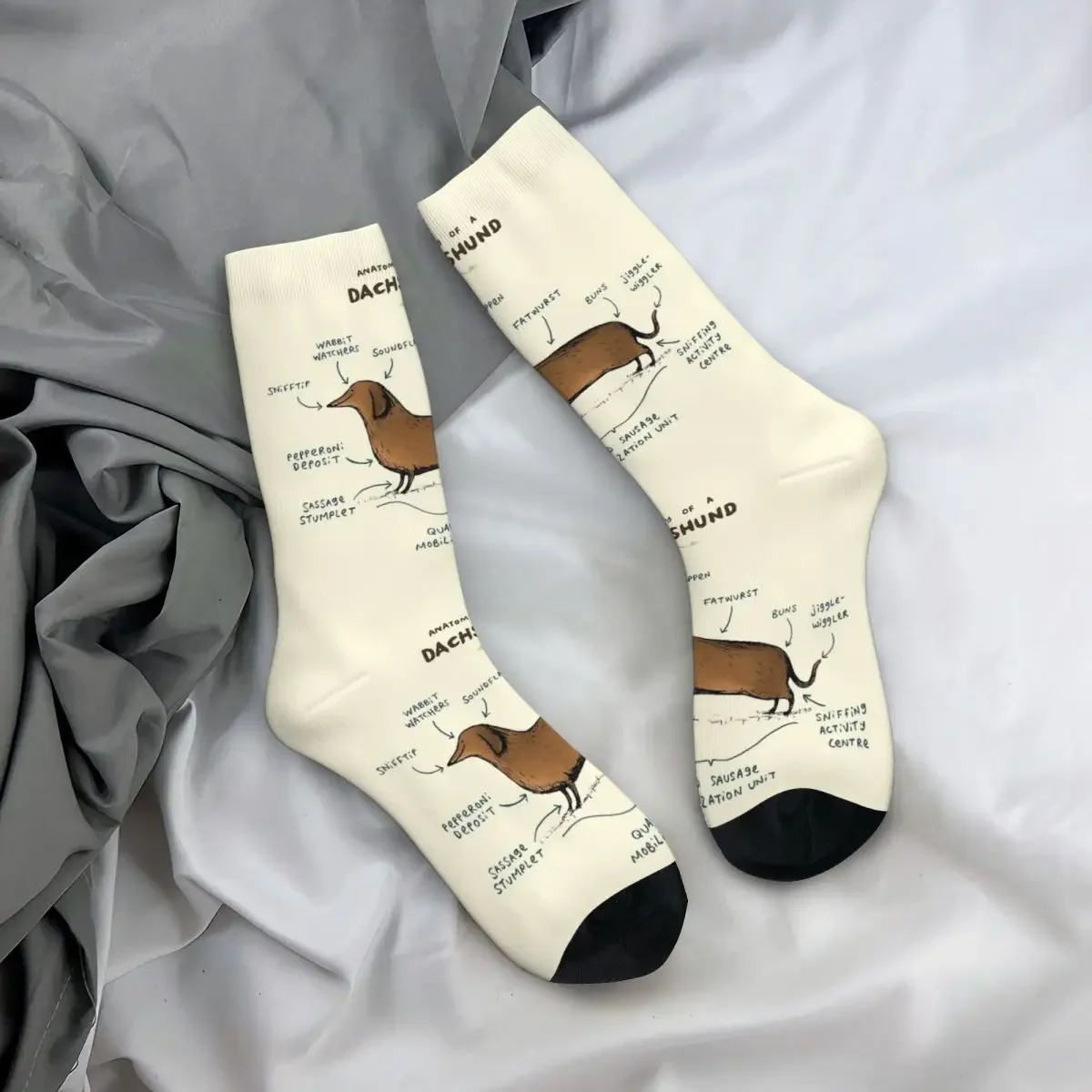 Anatomy Of A Dachshund Socks Harajuku High Quality Stockings All Season Long Socks Accessories for Unisex Birthday Present