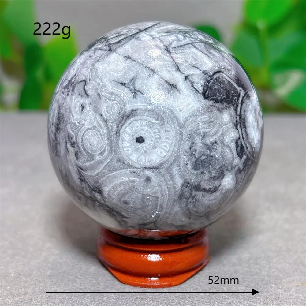 

Insect Fossil Sphere Crystal Natural Stone Quartz Stone Minerals Home Decoration Reiki Energy Healing Craft Gifts Luck +Stand