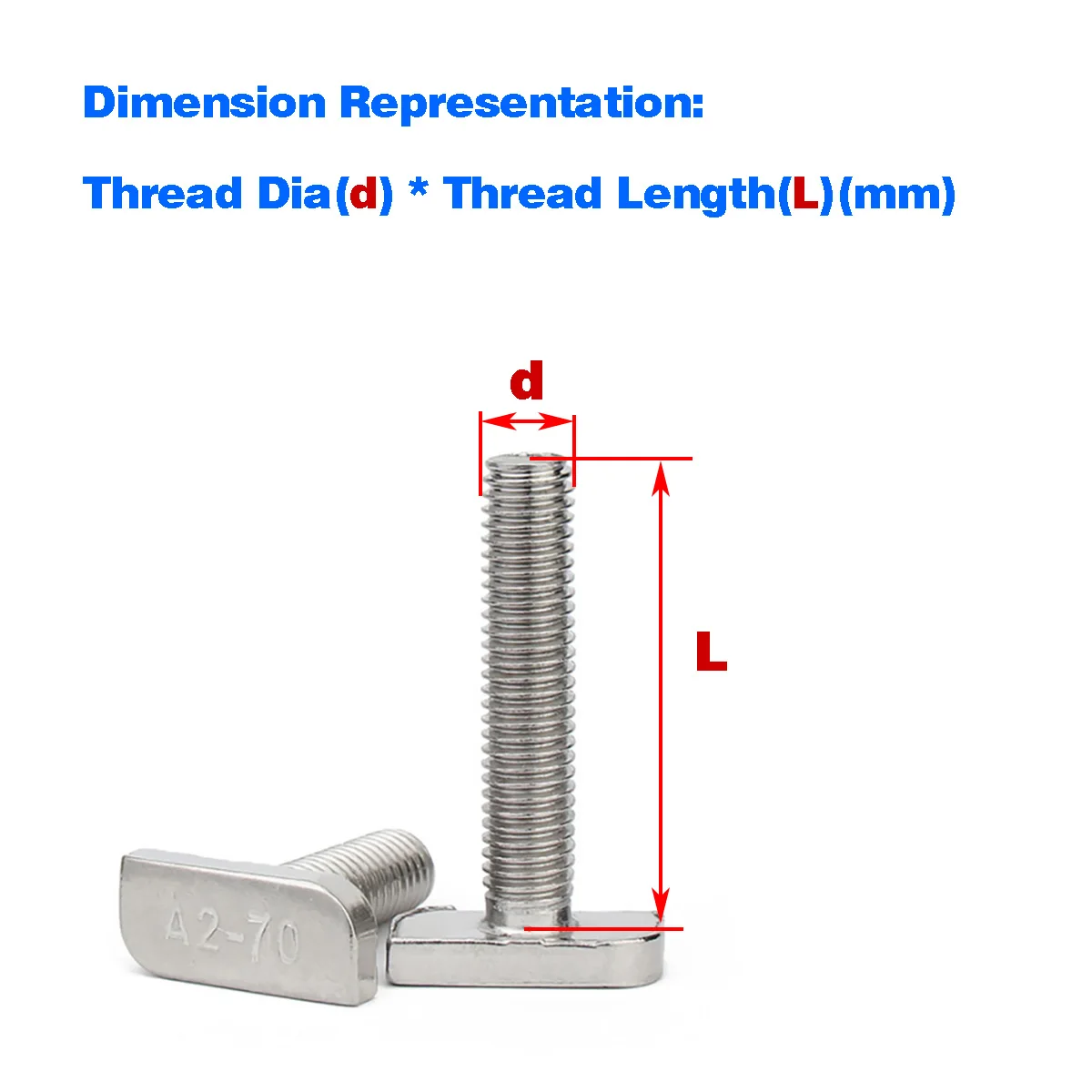 304 Stainless Steel T- Screw/T- Bolt/Square Head Screw/23 Head Type